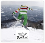 Dynaland