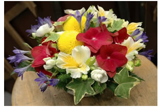 Photo from Florist Daika-en, Flower Shop in Omori, Tokyo