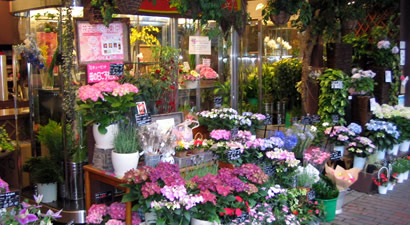 Photo from Florist Daika-en, Flower Shop in Omori, Tokyo