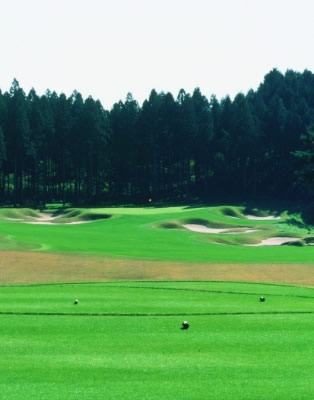 Beautifully manicured from tee to green! Harunanomori Country Club