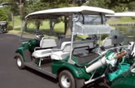 Golf Carts & Caddies