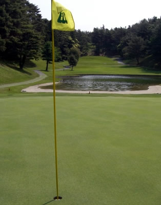 Traditional Bent Grass Greens