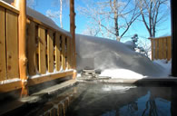 Outdoor Hot Springs (Rotenburo)