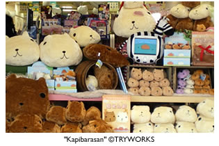 Photo from KIDDY LAND, Tokyo Toy Store in Harajuku, Tokyo