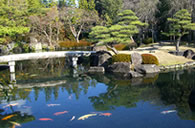 Beautiful Ponds & Springs