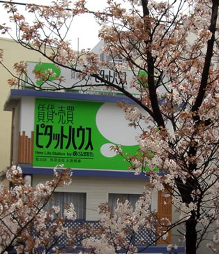 Saginuma, Kanagawa - Pitat House