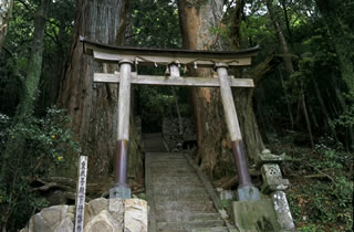 Photo from Shirahama Onsen, Hot Spring & Beach Resort in Wakayama, Japan