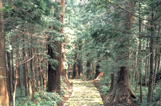 Photo from Shirahama Onsen, Hot Spring & Beach Resort in Wakayama, Japan