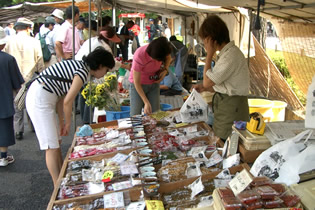 Photo from Takayama Minshuku Accommodations, Japanese Inns in Takayama-shi, Gifu