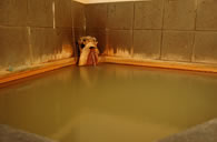 Yunotsu Hot Springs (Onsen) 